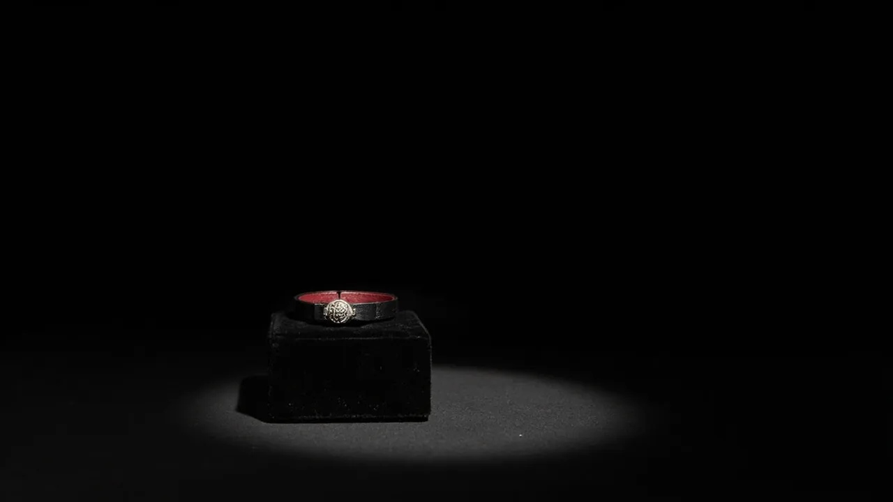 A slim black collar with a silver clasp displayed on a black velvet block under a spotlight