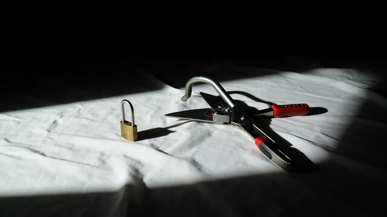 A small brass padlock beside a pair of steel safety shears on a white cloth