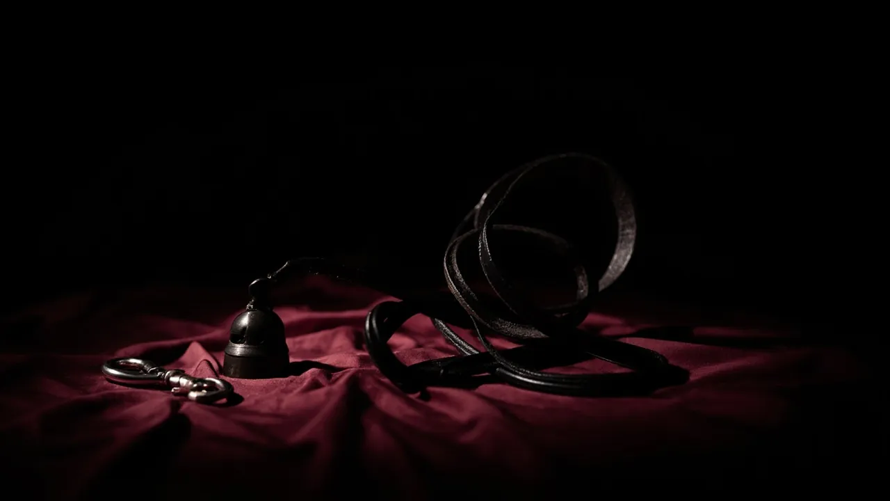 A black leather leash coiled loosely on crimson silk beside a small silver hand bell