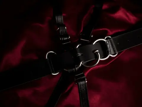 A black leather harness with silver rings on red satin