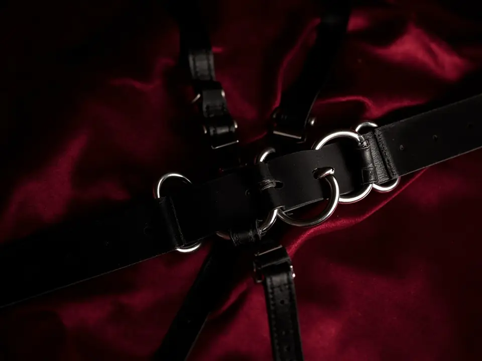 A black leather harness with silver rings and buckles on red satin